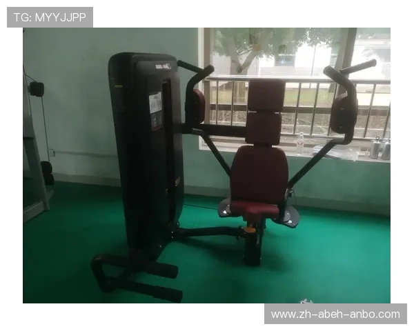 大型综合健身器材品牌对比及选购参考指南 大型综合健身器材品牌对比及选购参考指南