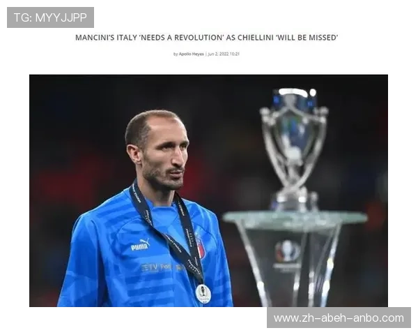 意甲球队缩减规模后被清退的球员现状追踪 意甲球队缩减规模后被清退的球员现状追踪