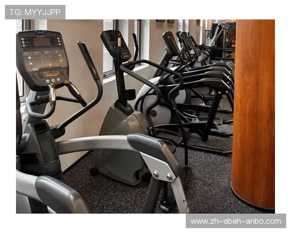 高端智能健身设备市场价格全景图 高端智能健身设备市场价格全景图